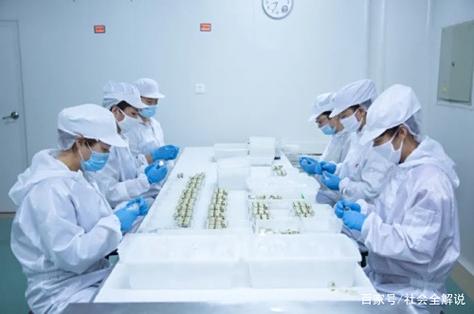 智能制造显优势,同仁堂健康大连生产基地打造高品质海洋养生产品